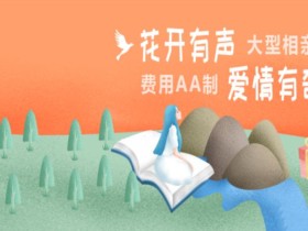 成都婚介机构提醒网站婚介假的多,有实体店才可靠