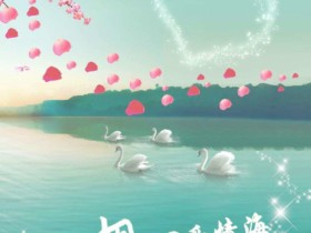 没时间相亲不再是问题,这样的成都婚恋服务团队时刻待命