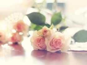 征婚相亲中,成都百和情缘婚介建议单身男女们不能说的话