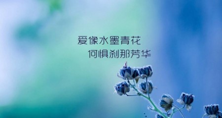 是什么让单身对成都百和情缘婚介所产生了信赖感？