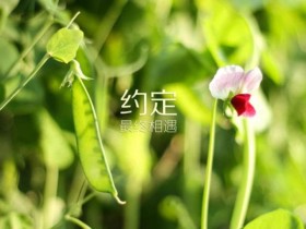 男生选择交友渠道时,应该注意哪些免费相亲的“坑”