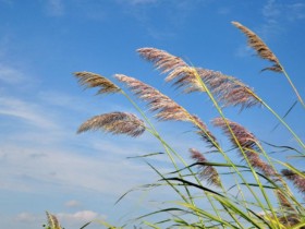 如果不能长相厮守,就相忘于江湖可好?