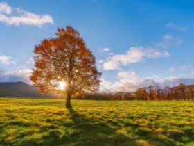 女追男应该注意什么?百和情缘建议婚恋相亲女性多注意