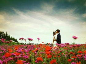 在“逼婚”的压迫下适婚青年的择偶观将何去何从?