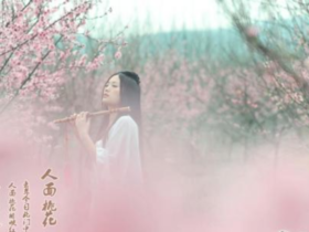 为什么网络婚恋相亲的人越来越多?这三点告诉你答案