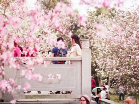 婚恋交友网:相亲女微信回复慢字数少是什么意思?
