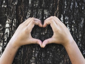 正规婚姻介绍所:吸引女人的技巧有哪些?