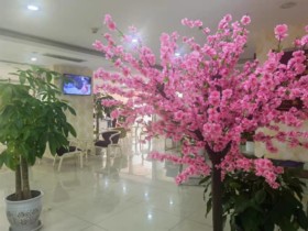【成都婚恋指南】为什么越来越多的单身青年选择专业婚介服务?