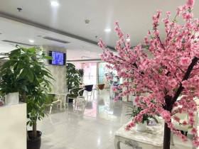 成都百和情缘成功率高吗?