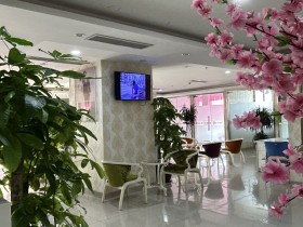 成都百和情缘:以专业与真诚,为蓉城单身架起幸福桥梁