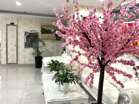 相亲择偶:物质条件和三观,到底哪个更重要?