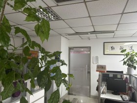 百和情缘的品牌故事——从军嫂初心到科技婚恋的二十年坚守
