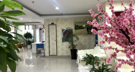 百和情缘如何用精准匹配重塑相亲效率